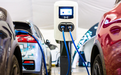 Shutterstock 1598078002